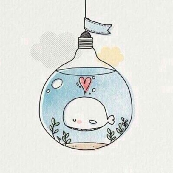 Meet your Posher, Mackenzie - Picture 1 of 1